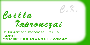 csilla kapronczai business card